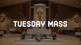 Tuesday Mass 7/21/26