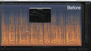 Sound for Video Session: Reduce Reverb with Izotope RX 6