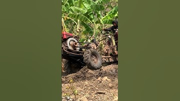 #shorts xe công nông cầu đẩy chở chuối suýt bị lật cực nguy hiểm và cái kết #shortsa #shortvideo