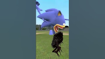 NEW SHIN SONIC EATER VS ZOOCHOSIS MUTANTS ANIMALS HEDGEHOG IN GARRY