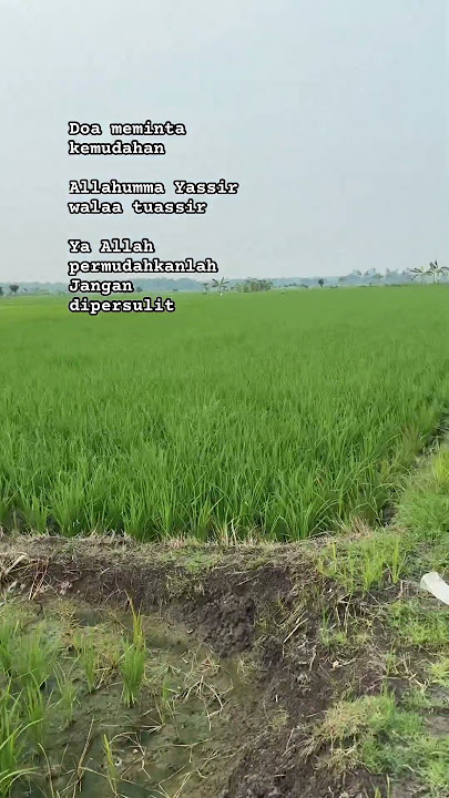 Amen #fypviralシ #masyaallahtabarakallah