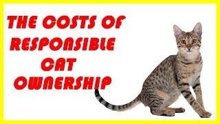 the costs of responsible cat ownership