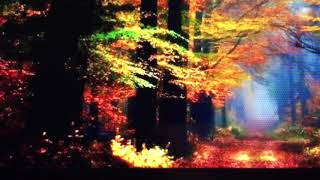 Ghazal By Mairaj Ali