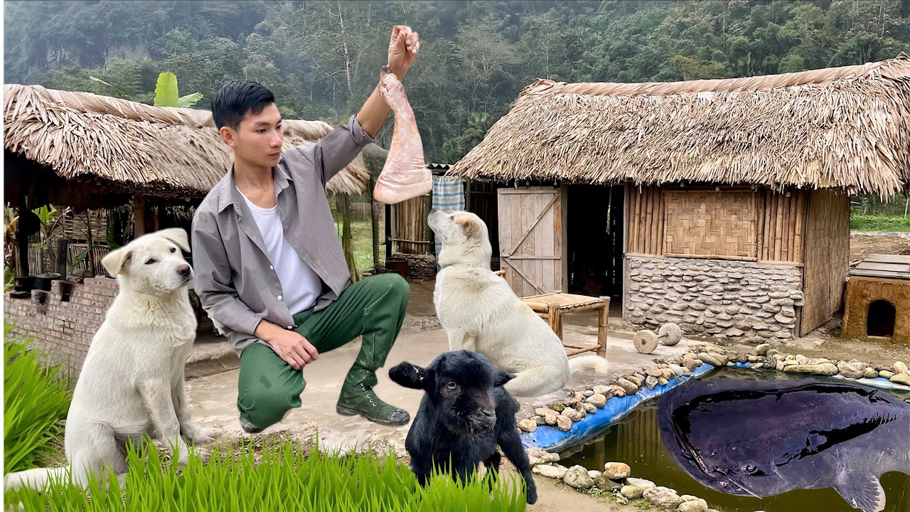 Off-Grid Life With My Dogs & A Baby Goat | A Quiet Healing Day