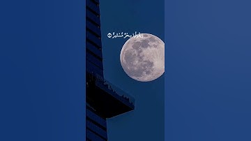 القارئ/ريان المحيسني#ايات#القران_الكريم #quran #يوم