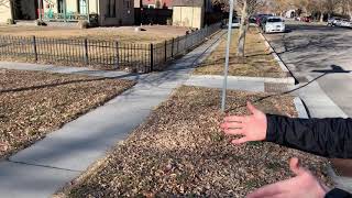 Curb Extensions