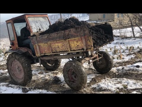 Трактор Т 16 на Работе | Test Drive Tractor Т16