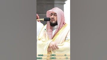 تلاوة تحبيرية فضيلة الشيخ أ.د #_بندر_بليلة | 🌿 سورة الأحقاف 🌿