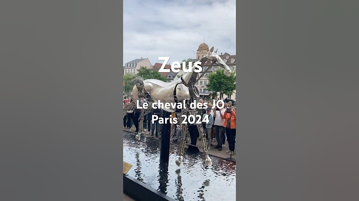 🐴 Zeus in Strasbourg – The Paris 2024 Olympic Horse is Here!