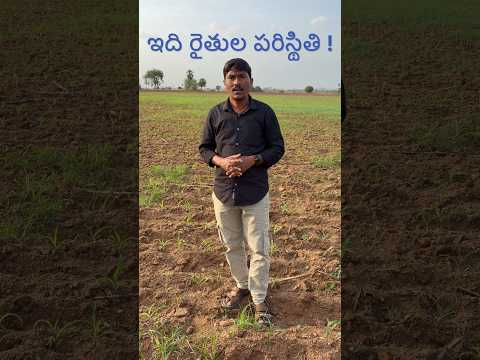 ప్రతి రైతు పరిస్థితి ఇలానే ఉంది?