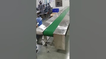 Belt Conveyor with both Ss side Tray | SG Conveyors & Automations. #conveyor #pharmacy #medicine