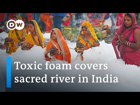 Hindu worshippers bathe in sacred Yamuna river to mark Chhath Puja despite toxic froth | DW News