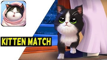 KITTEN MATCH - gameplay walkthrough part 1 [Android iOS]
