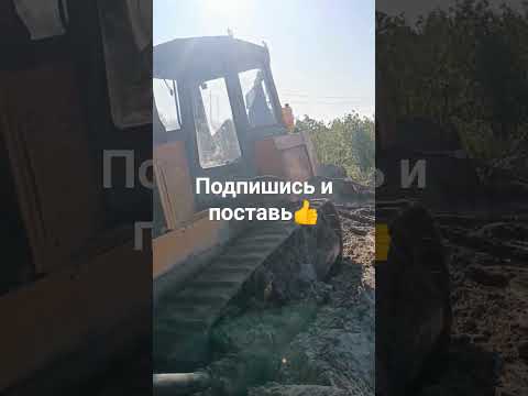 Сибирь Трактор бульдог