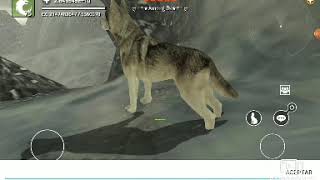 wolf online-how i got neg ex points and max level