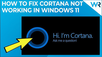 Cortana not working in Windows 11? Try these fixes!