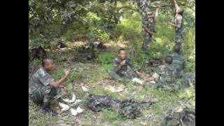 unit penggempur tentera darat