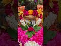 # Mouni Amasaya Shringar # Madhav Mass # Jai Shree Krishna 🙏🌼🌼🌿🌿🌺🌺🌷🌷