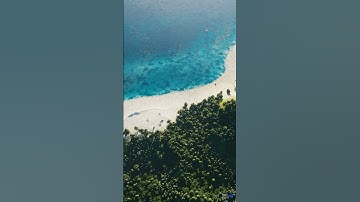 Stunning Beach Terrain! 🌴 |  D5 Render