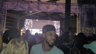 Big Sean performs