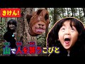 【こびとづかん】きけん!!「やっほー」と言うと追いかけてくる危ないこびと!!