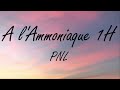 Pnl a lammoniaque 1h