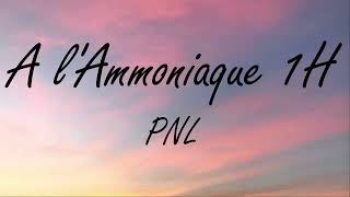 PNL- A l&#39;ammoniaque 1H