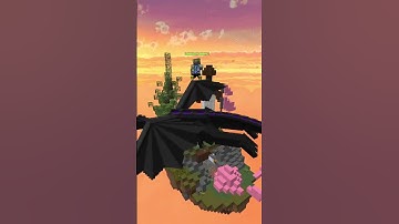 Ender Dragon and I vibin