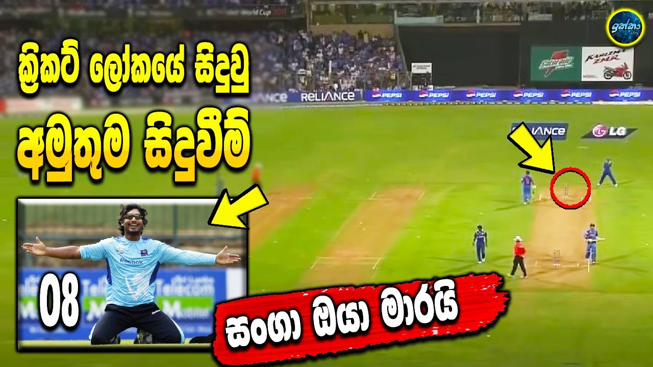 Top 08 Funny Moments in Cricket History - best cricket funny moments ...