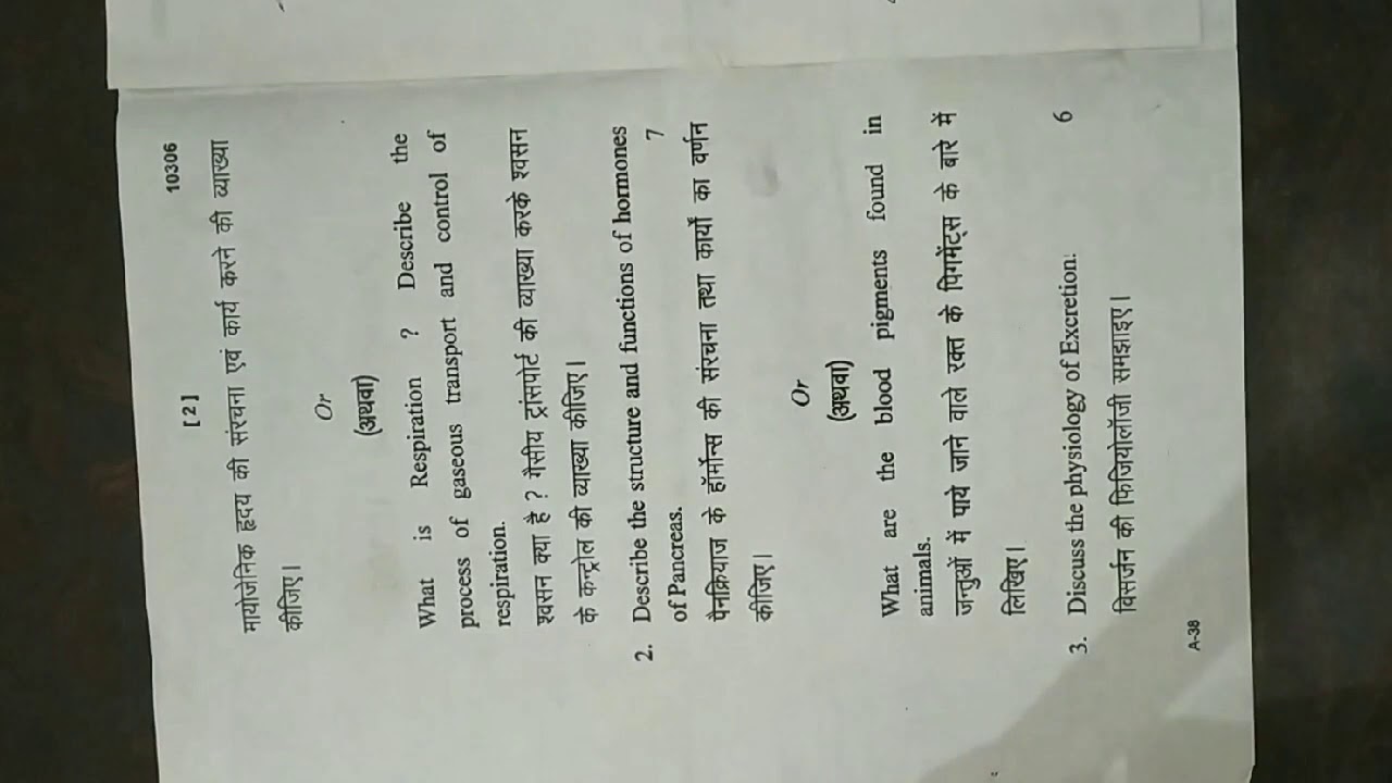 Bsc 3rd Year Zoology 1st Paper Bsc paper of Zoology || Third paper || Part-2 2018 - YouTube
