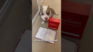 The Secret Behind Peak Dog Performance #shorts #americanbully #bullybreed