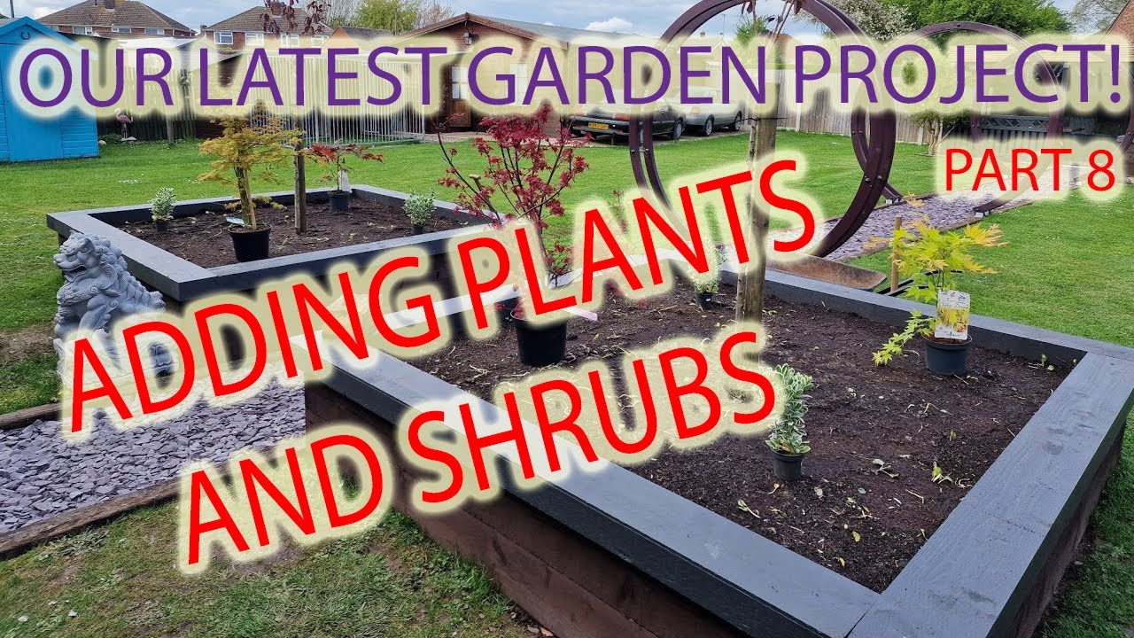 Adding Shrubs And Plants To Our Raised Flower Beds - Latest Garden ...