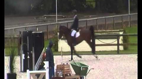 Jericho V (Cicero Z x Darco) & Jan Van Dyck 5yo cyclus Lier