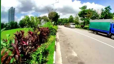 Another Day with Tinyhawk II Freestyle / Insta360 Go