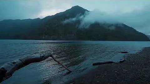 Relaxing Rain Walk at Lake Crescent, Olympic National Park, Binaural Rain Sounds for Relaxing ASMR thumbnail