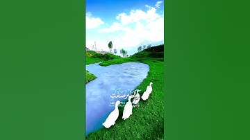 خشوع وسكينة مع آيات من القرآن الكريم