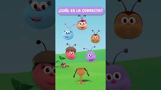 Ruletas De Cabezas Fo-Fo