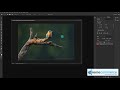 💻 Photoshop Crash Course for Beginners | Full Graphic Design Training 2025(Lecture 6)