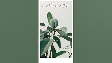 سورة الرحمن (آية 1 - 6) – القارئ: محمد هشام