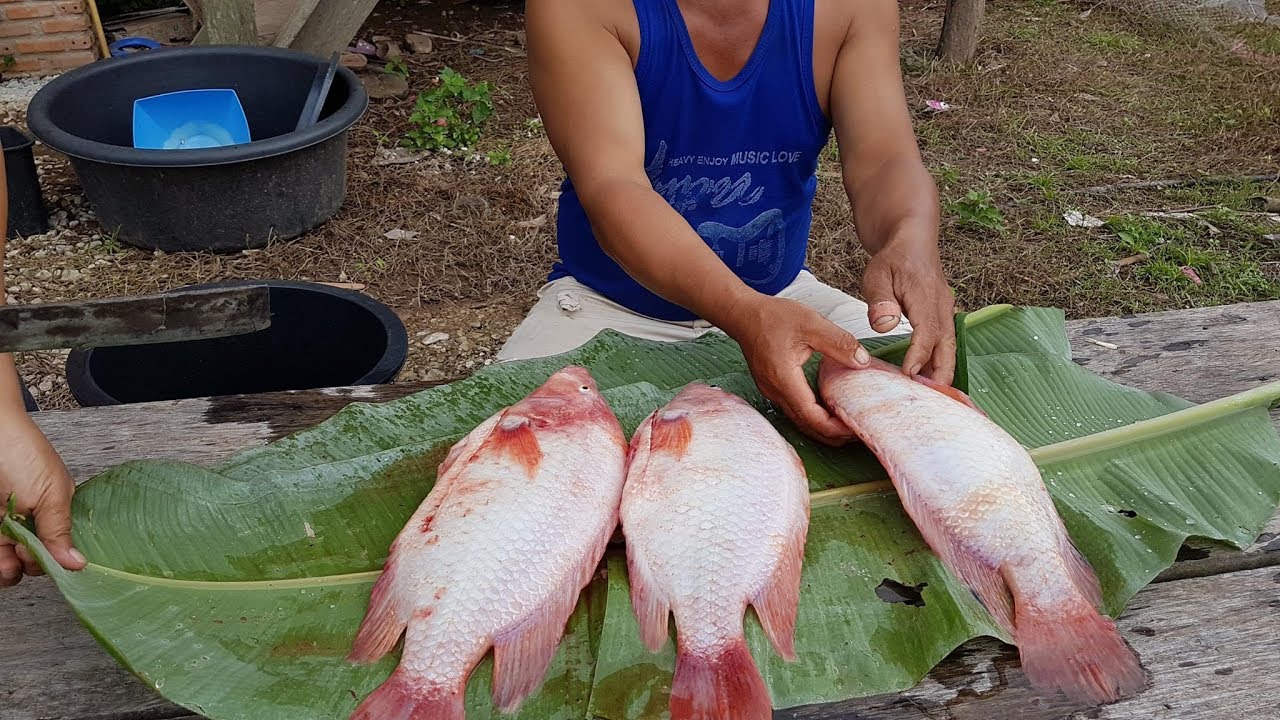 เที่ยวบ้าน MrHotsia EP 1/4