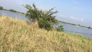 Tontoruk Lady Angler