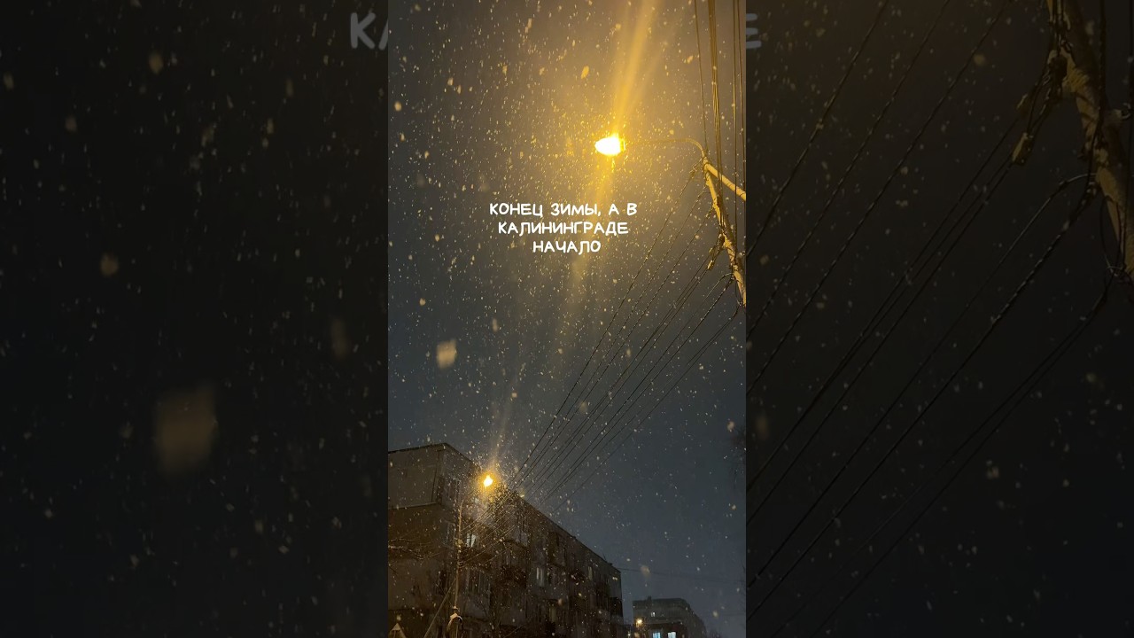 ТГ: Лист Аля | 