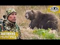 Brown Bear Hunting - Kodiak Alaska