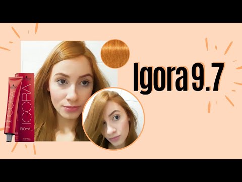 Ruivo Claro Strawberry Blonde IGORA 9.7 Schwarzkopf - Pintando Cabelo em  casa Vlog 
