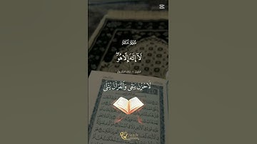 🤲 #القرآن_الكريم #duet تلاوة خاشعة من الذكر الحكيم لا حزن يبقى والقرآن القرآن يتلى #cute #اكسبلور