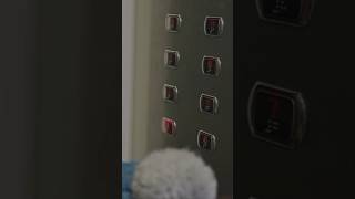 The Missing Floor ( He entered into the floor which never existed 😱) #shorts#TinyWondersTV-h2I
