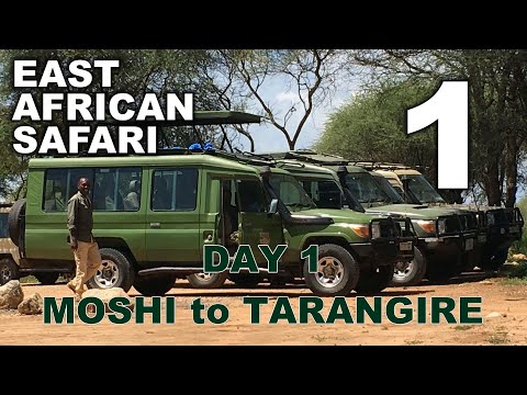 East African Safari - Day 1 (TARANGIRE)