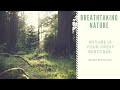 The Breathtaking Beauty Of Nature | HD | Nature Beyond You