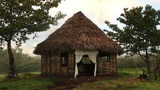 I Am A Weed In The Garden Of Ignorance and Evil