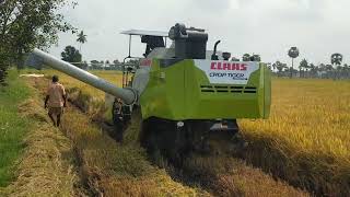 Claas crop tiger 3D Harvester  mission work Harvesters and tractors screenshot 4